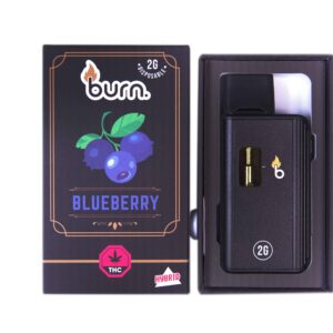 Burn Distillate Disposable Pen - 2g - Blueberry