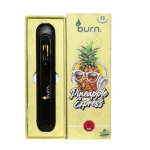 Burn Distillate Disposable Pen - 2g - Pineapple Express