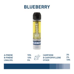 Boost THC Vape Cartridges - 1g - Blueberry