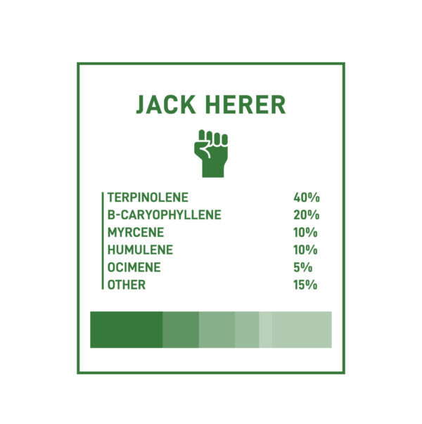 Boost THC Vape Cartridges - 1g - Jack Herer