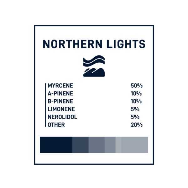 Boost THC Vape Cartridges - 1g - Northern Lights