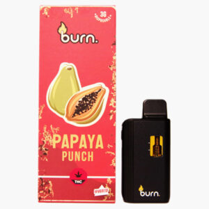 Burn Disposable Vapes - 3g - Papaya Punch (Hybrid)